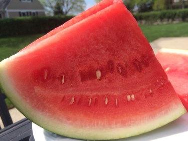 Ripe Watermelon